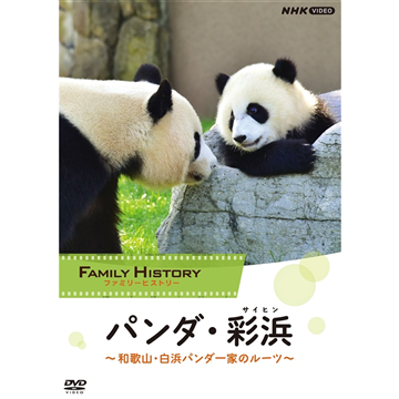 DVD ファミリーヒストリー パンダ・彩浜（サイヒン）～和歌山・白浜パンダ一家のルーツ～