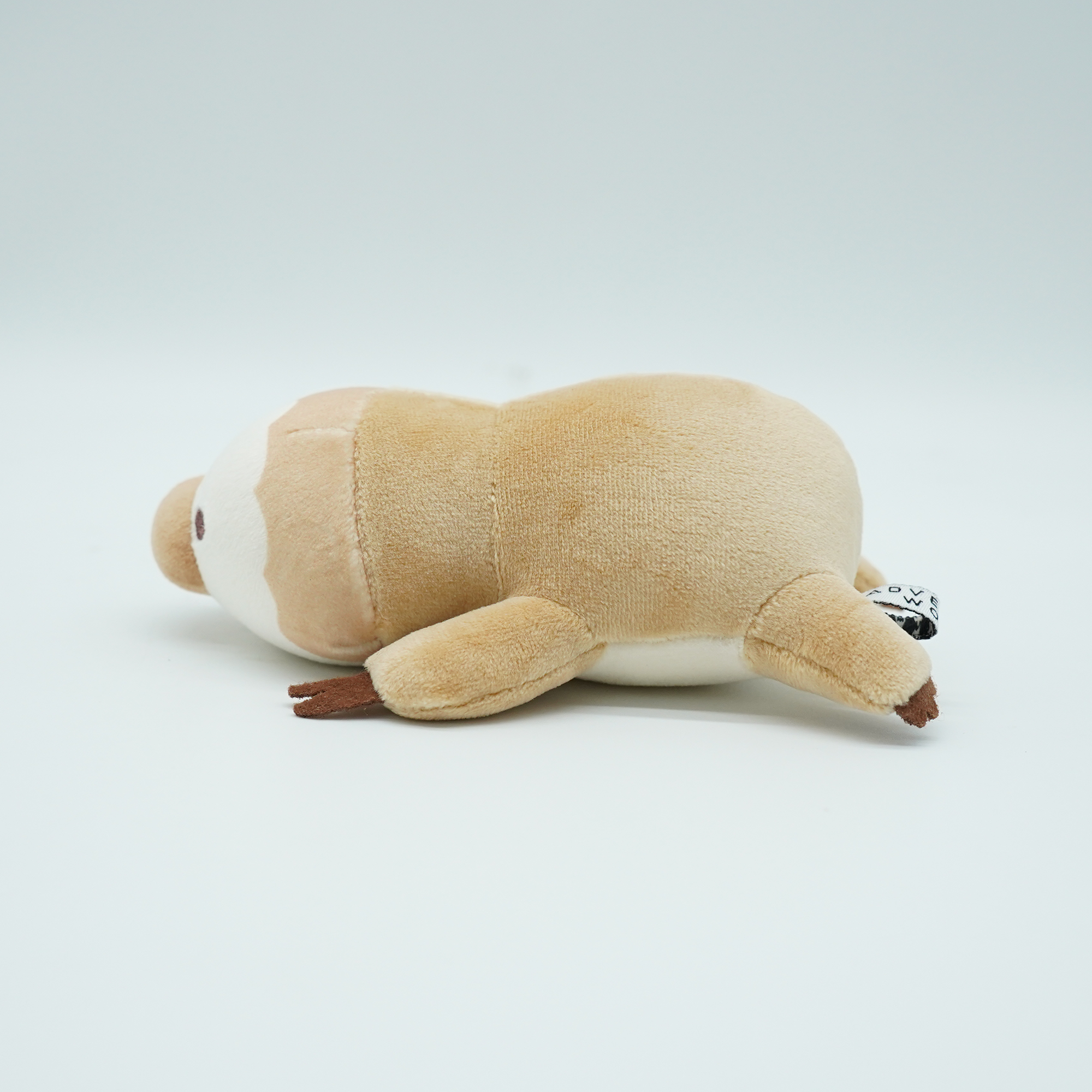ナマケモノ