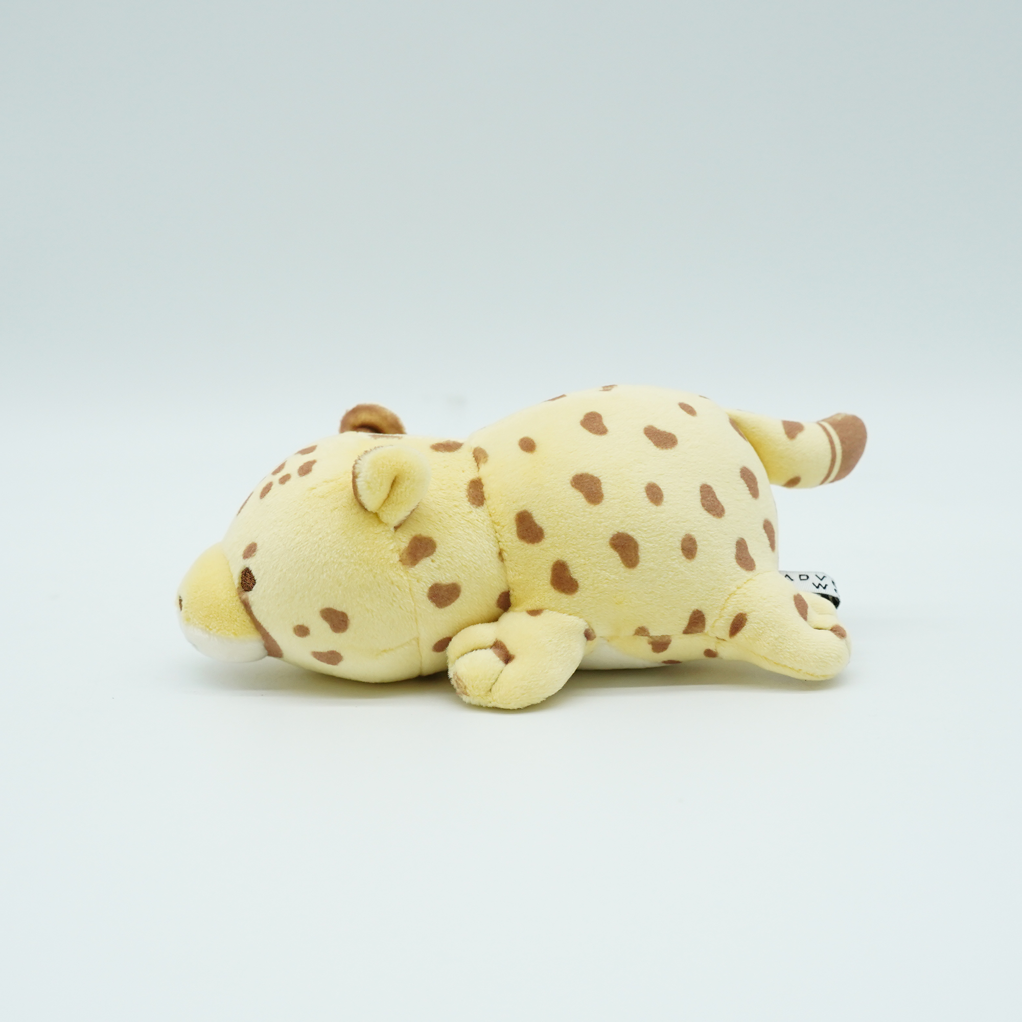 チーター