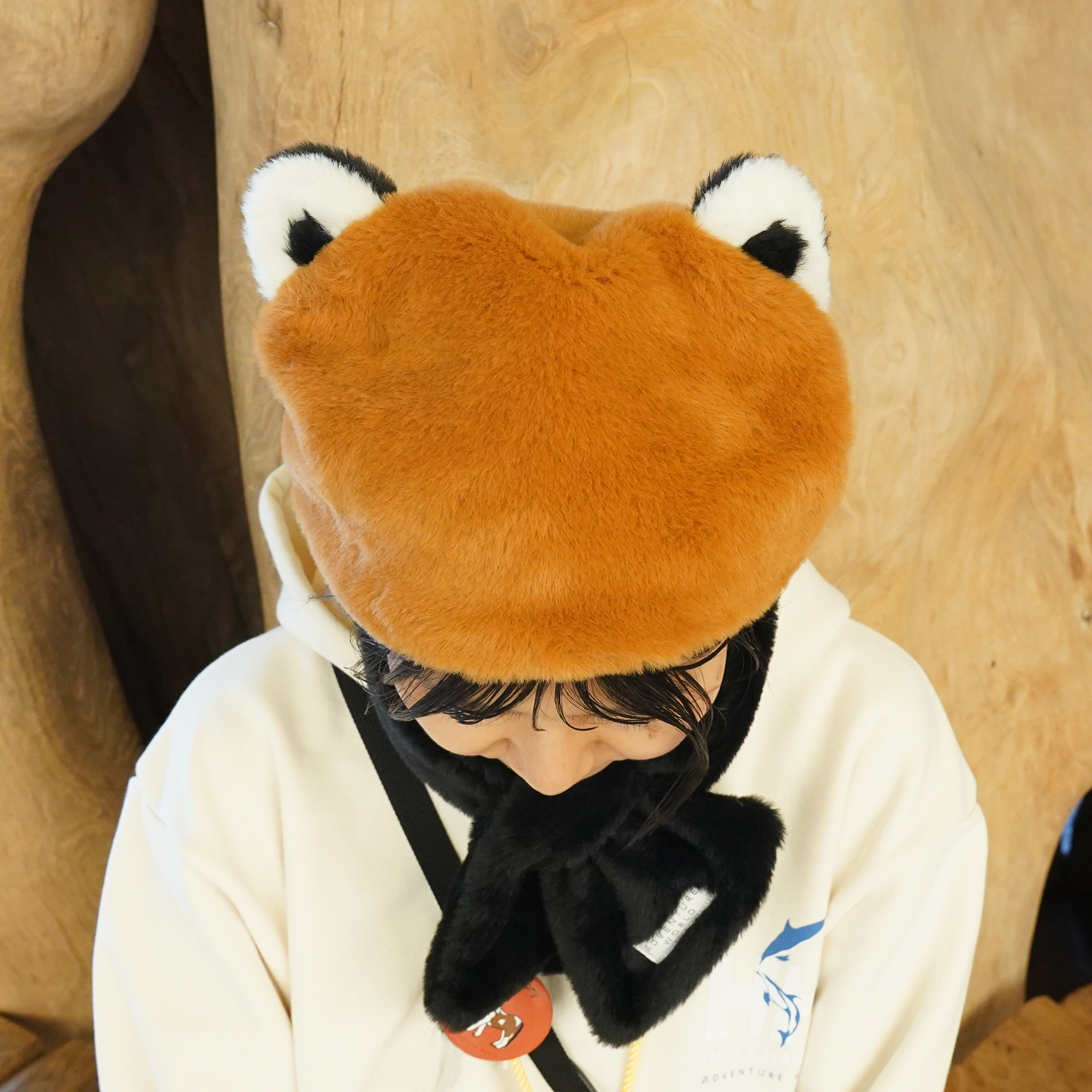 レッサーパンダ