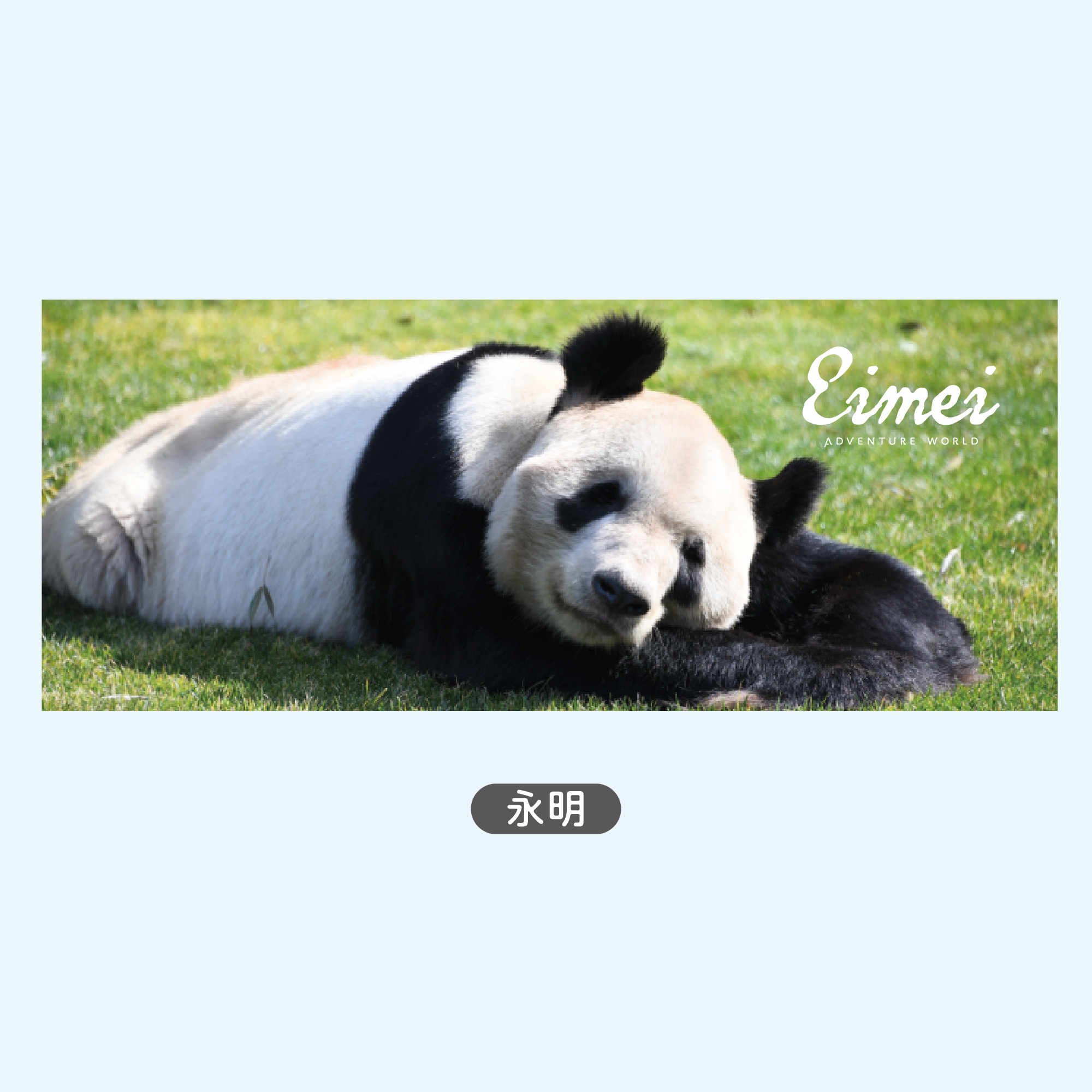 永明