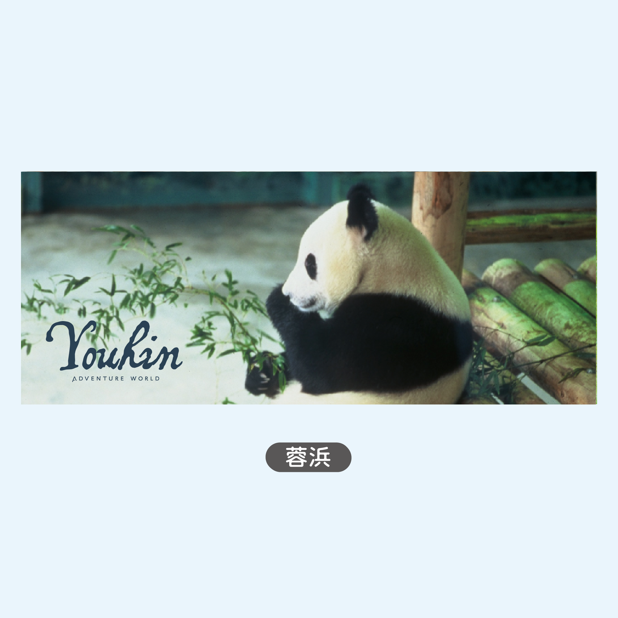 蓉浜
