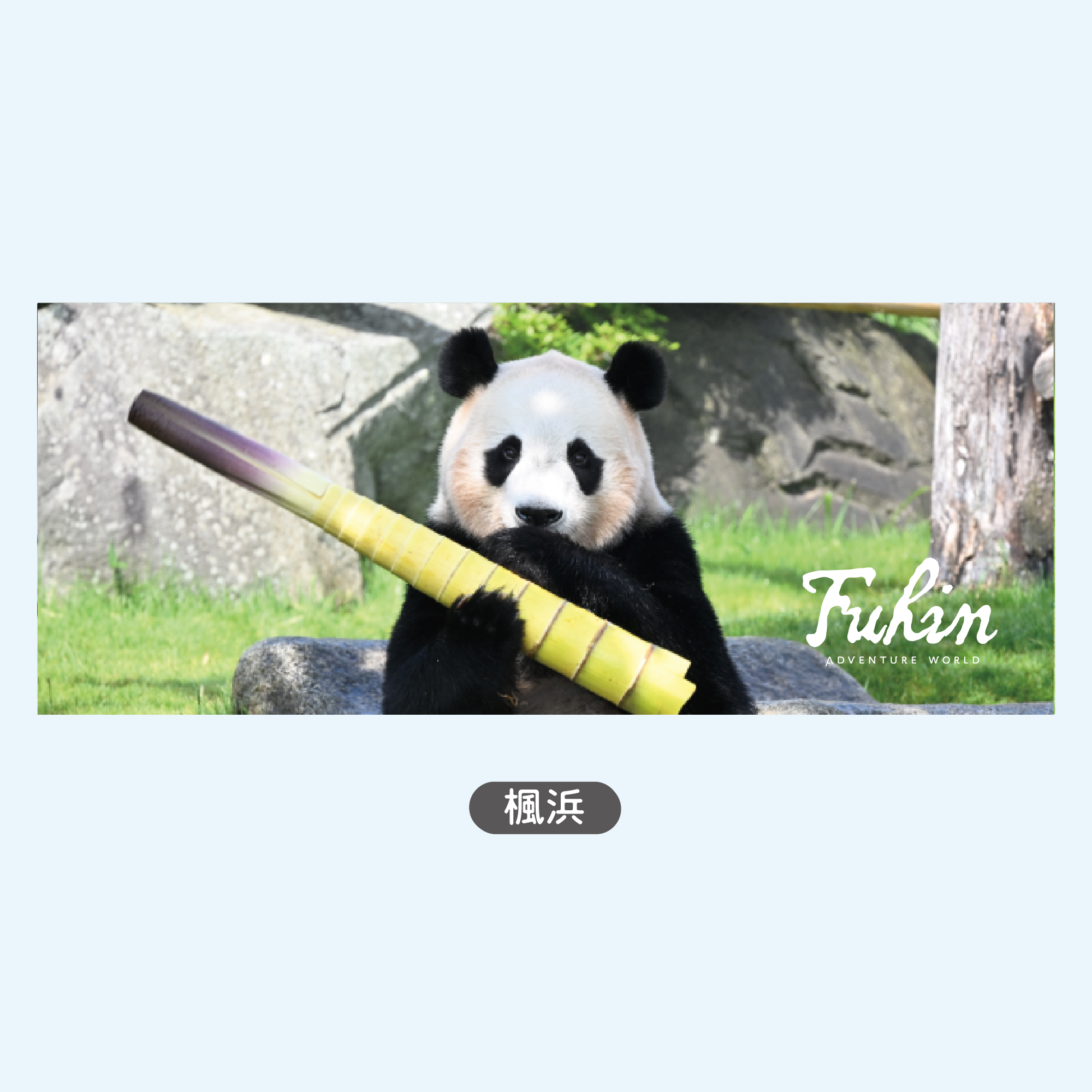 楓浜