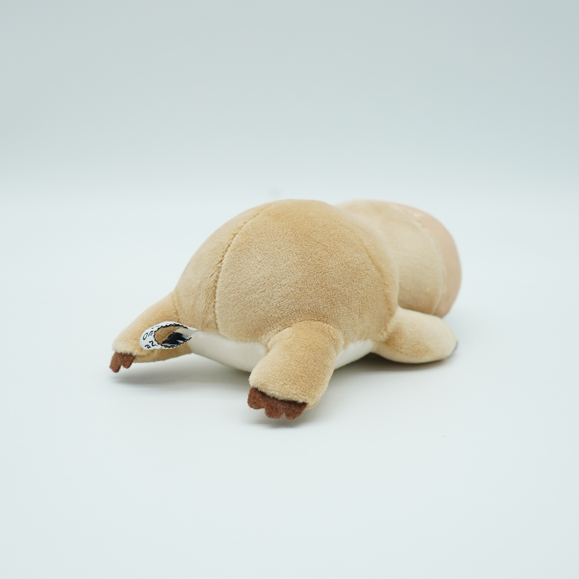 ナマケモノ