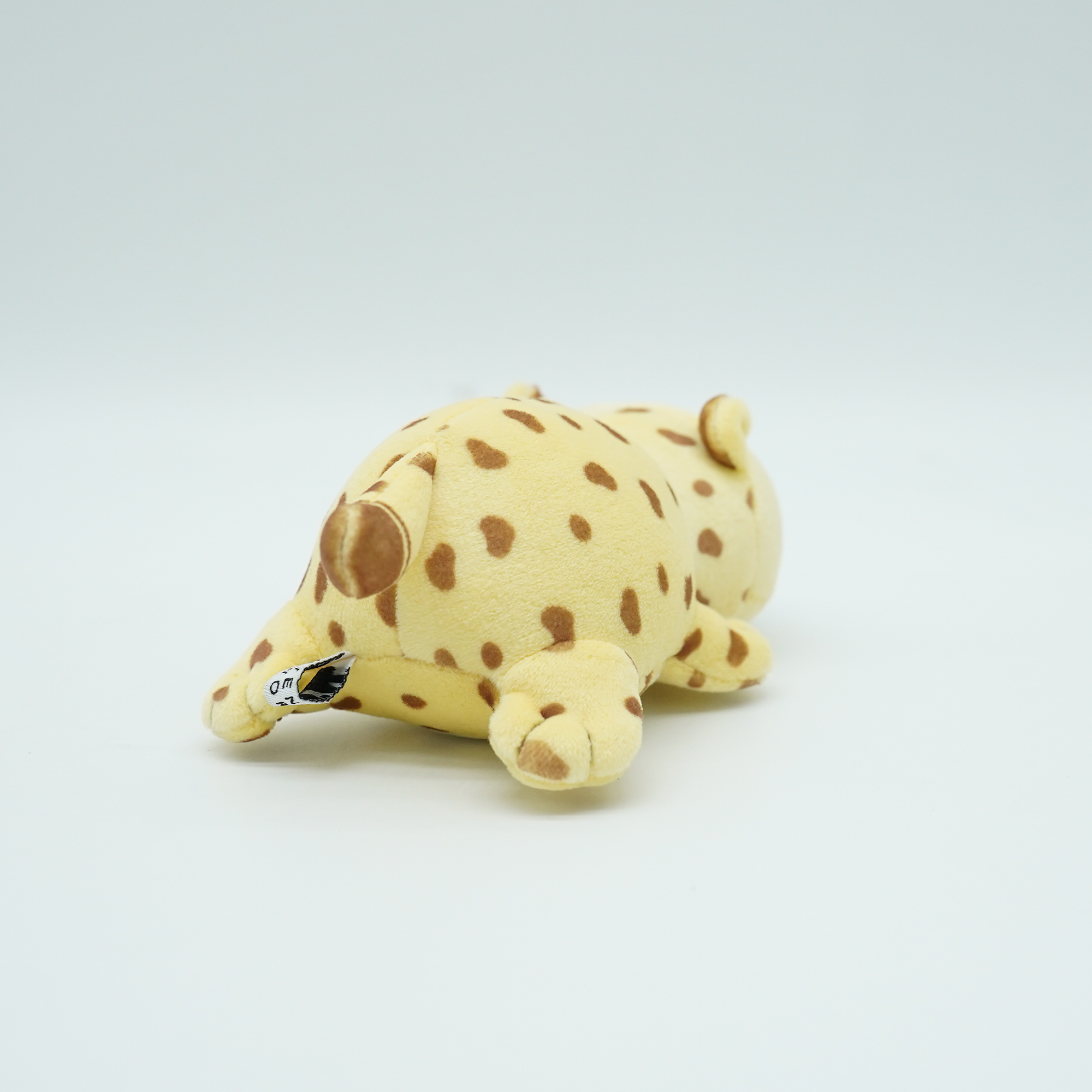 チーター
