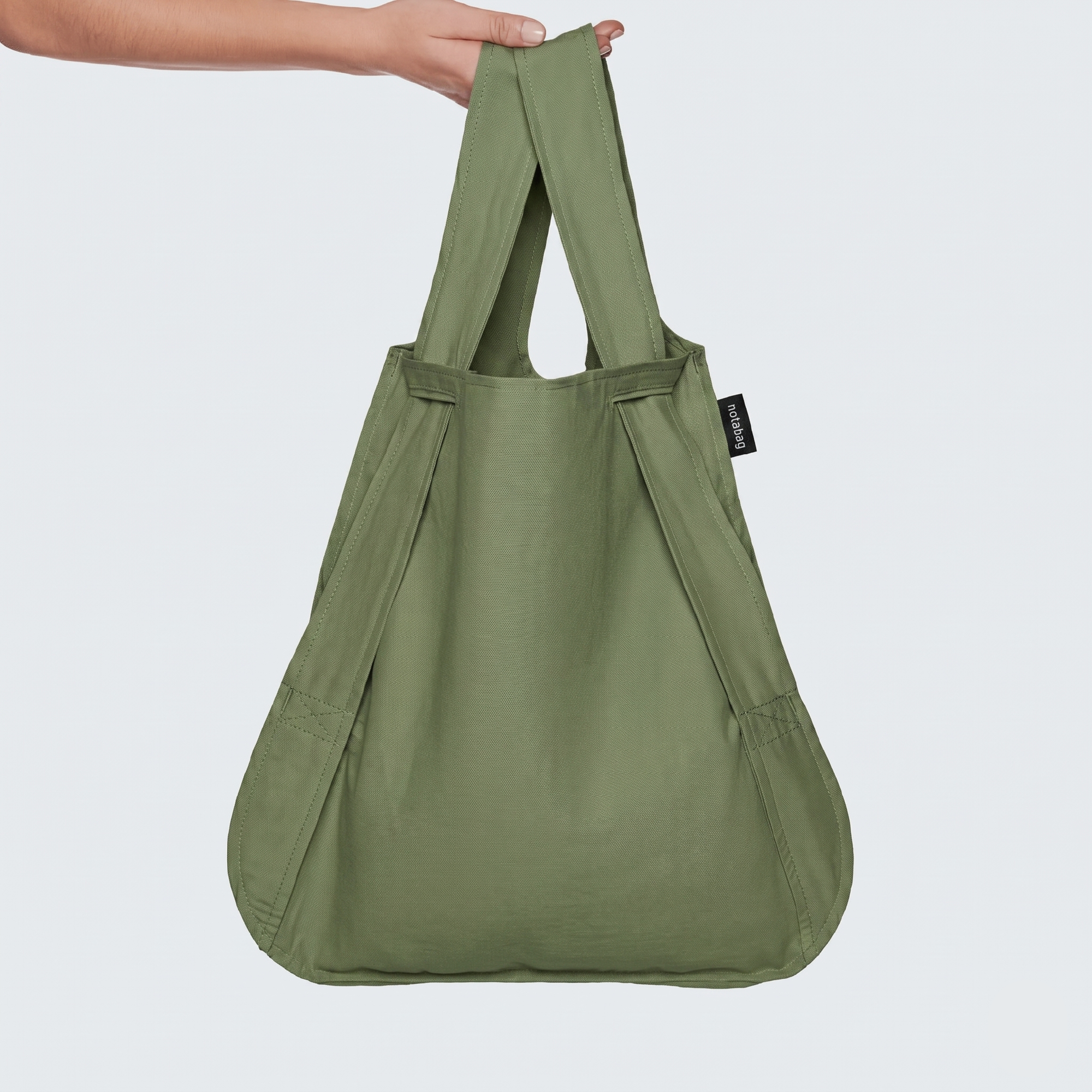 パンダオリーブ