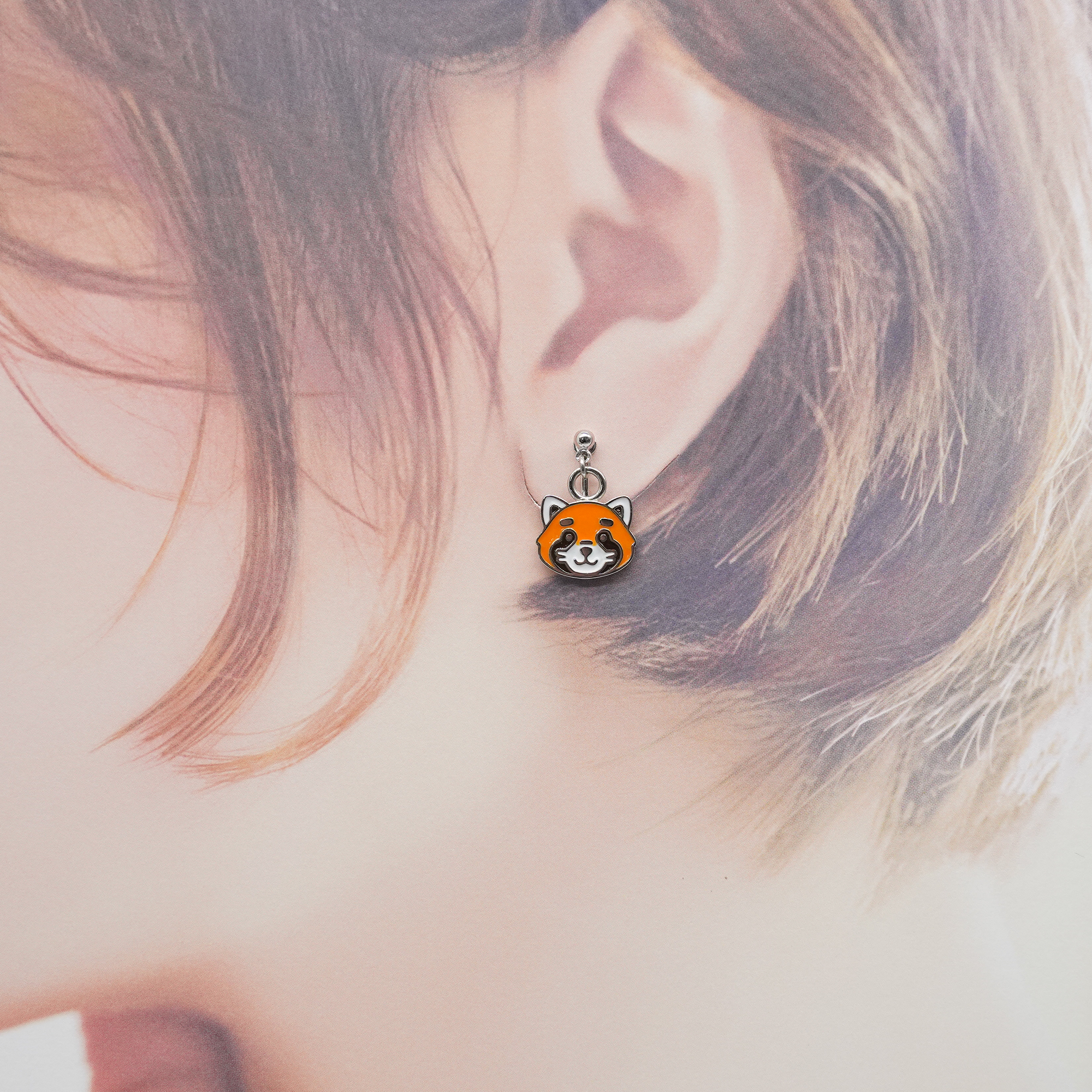 レッサーパンダ