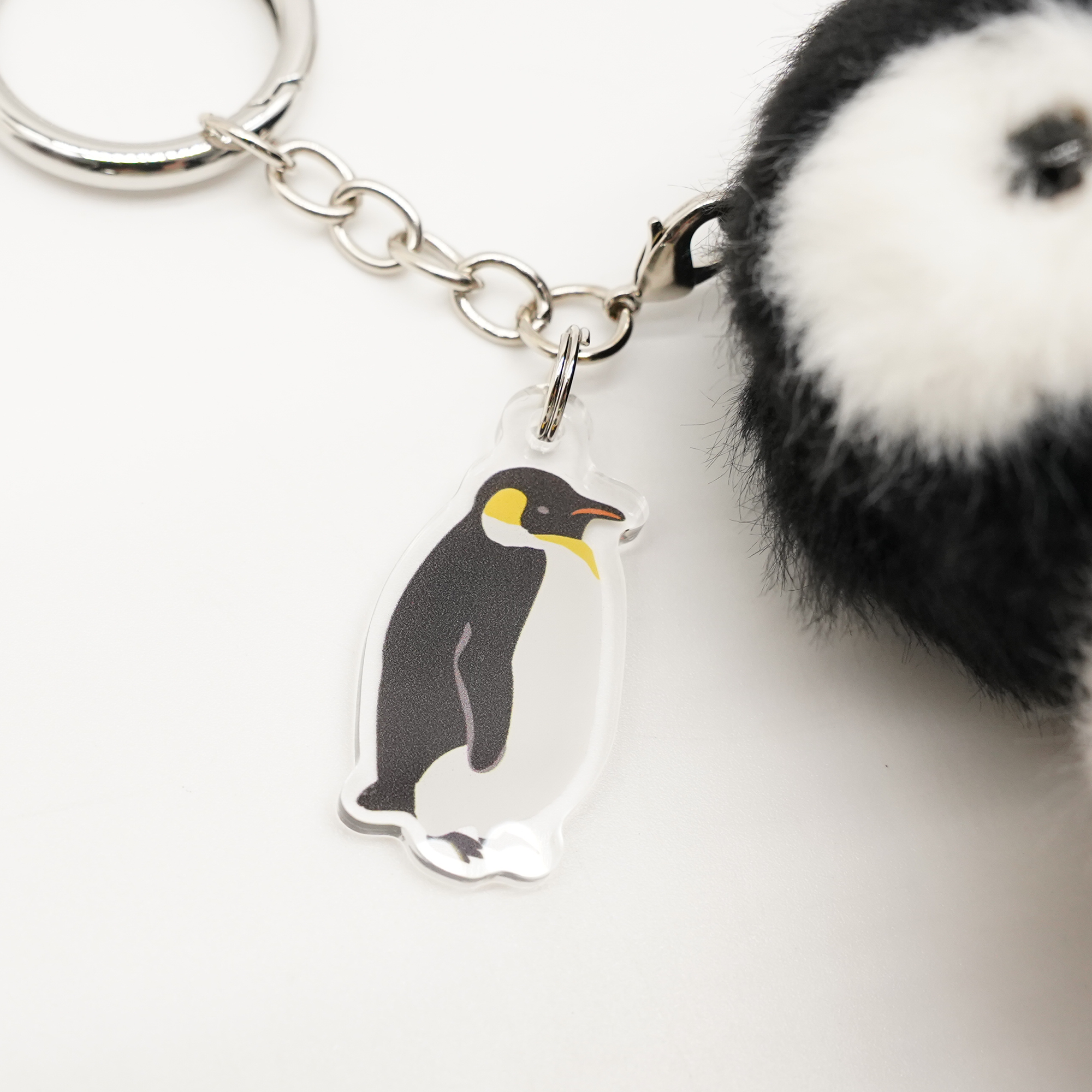 コウテイペンギン