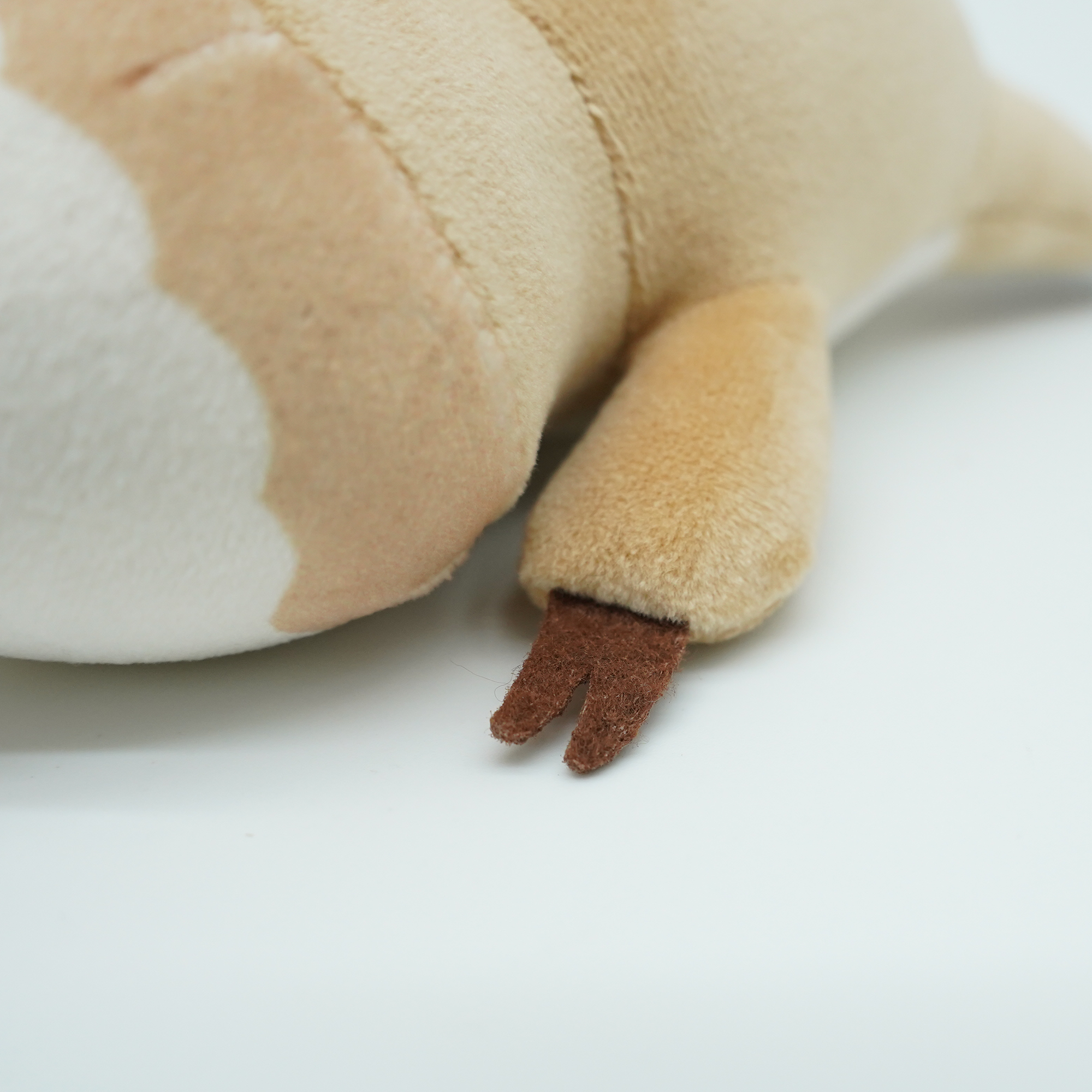 ナマケモノ