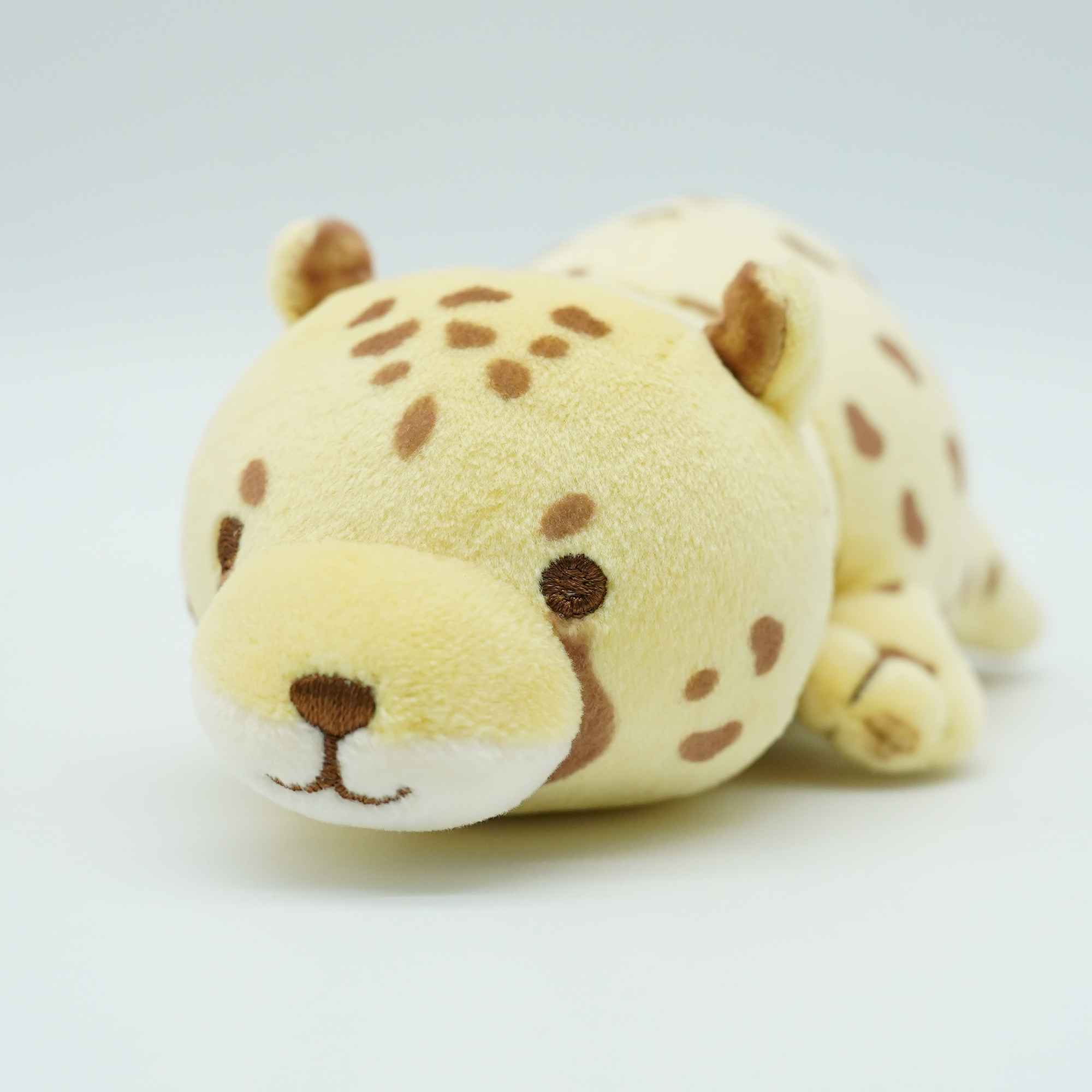 チーター