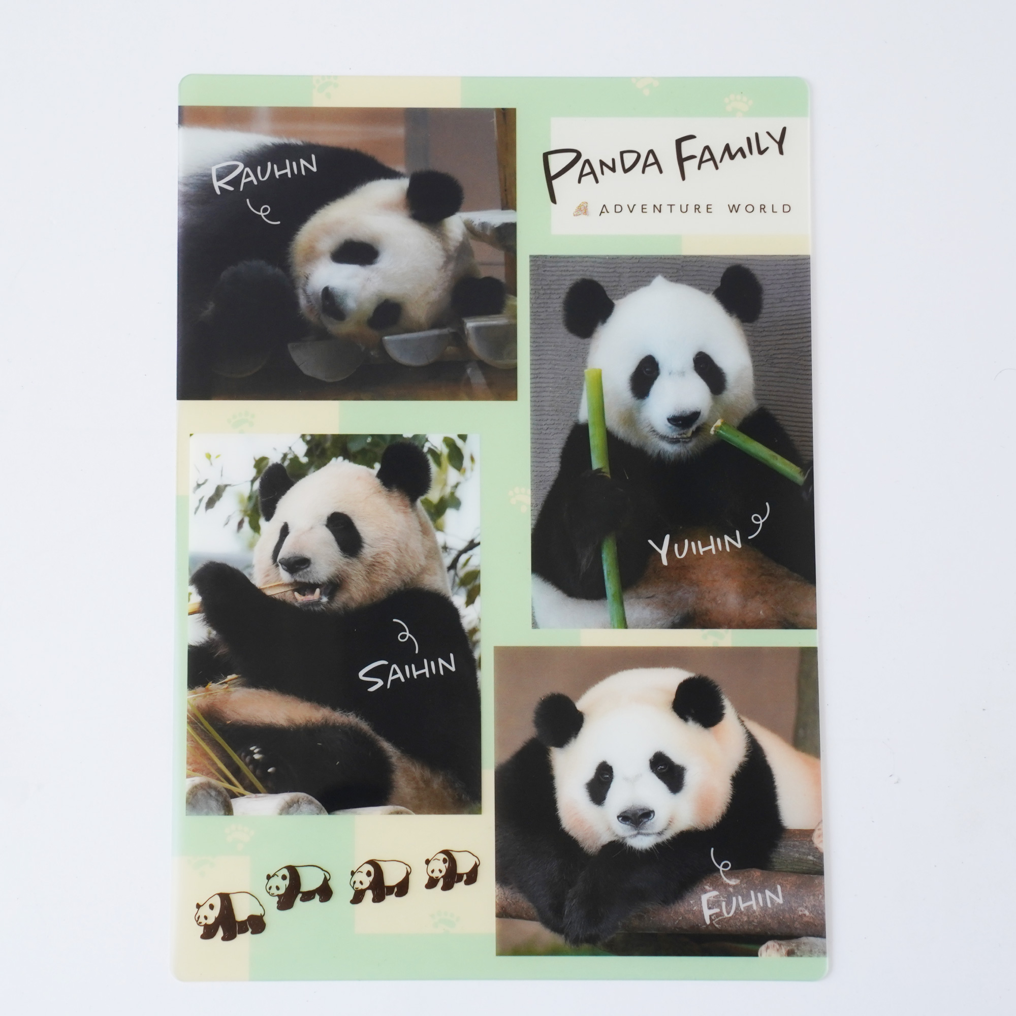 アドベンチャーワールド公式下敷き PANDA FAMILY: 文房具・おもちゃ 