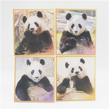 Thank you PANDA FAMILY クリアミニ色紙