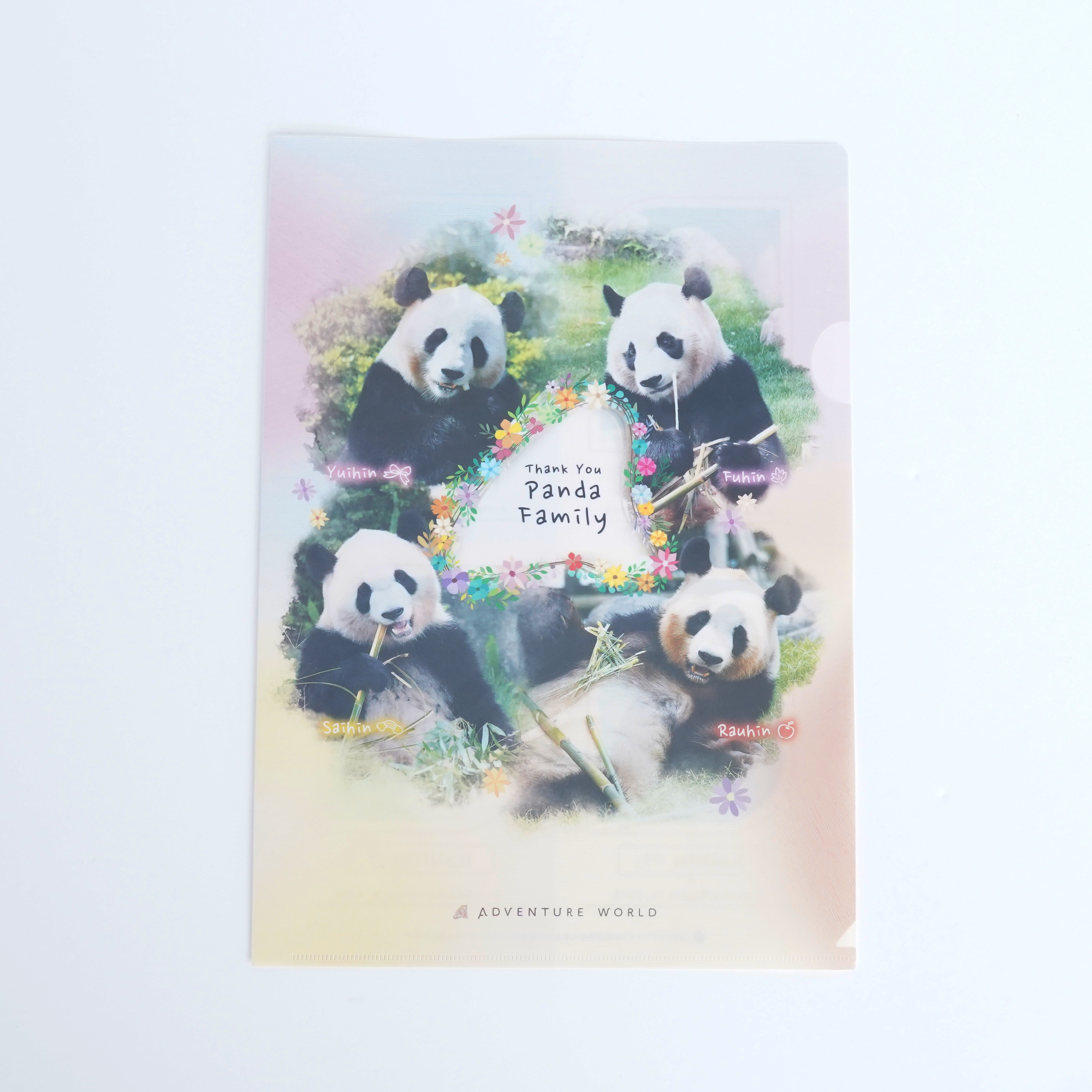 Thank you PANDA FAMILY LIMEXクリアファイル