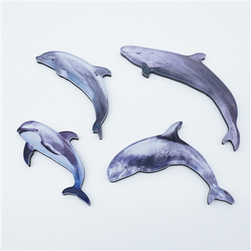 イルカマグネット