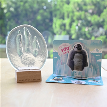 足形ガラスレリーフ　コウテイペンギンbaby 100days
