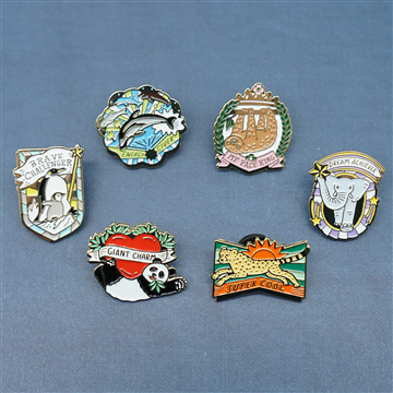 MY AWARD PiNS
