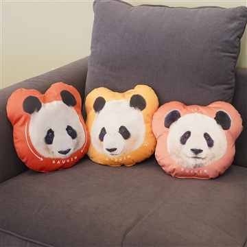 チャームポイント総選挙　ダイカットクッション