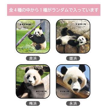 PANDA JOURNEY～しあわせの足あと～　ブラインドミニタオル