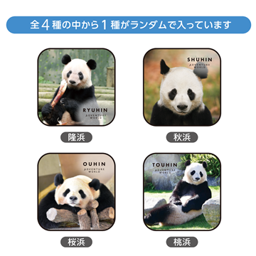 Panda Journey～しあわせの足あと～　ブラインドミニタオルvol.2