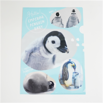 エンペラーペンギンBaby クリアファイル