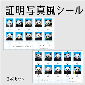 証明写真風シール