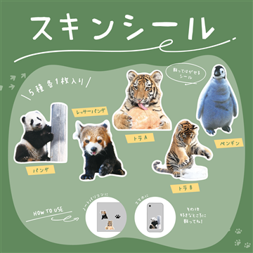 スキンシール