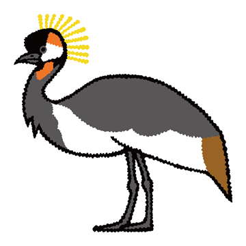 ホオジロカンムリヅル