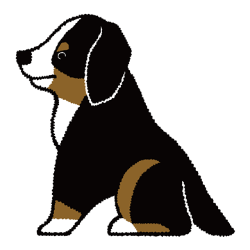 バーニーズマウンテンドッグ