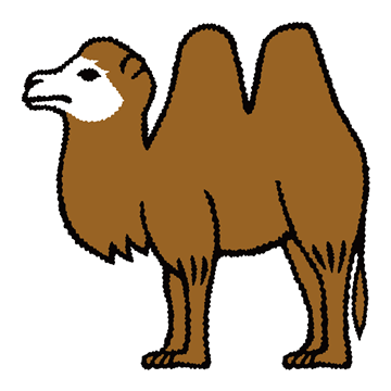 フタコブラクダ