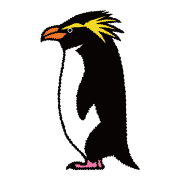 キタイワトビペンギン