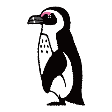 ケープペンギン