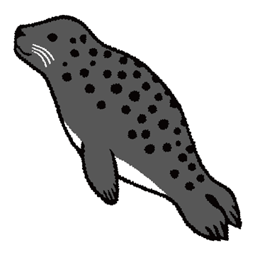 ゴマフアザラシ