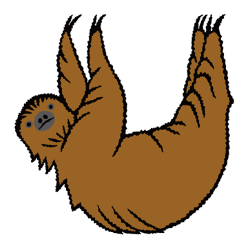 フタユビナマケモノ