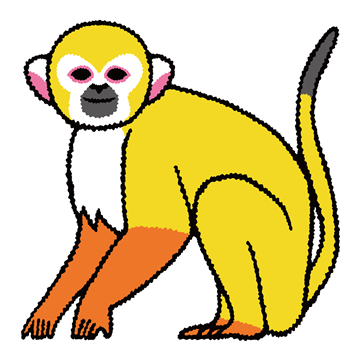 コモンリスザル