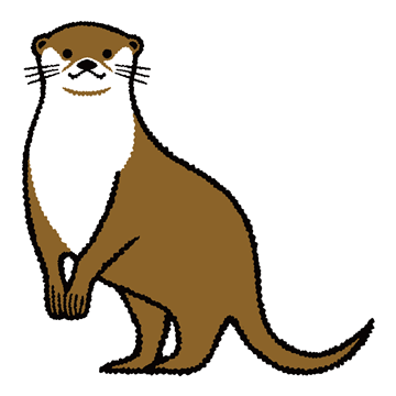 コツメカワウソ