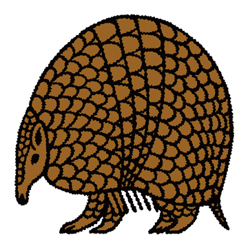 マタコミツオビアルマジロ