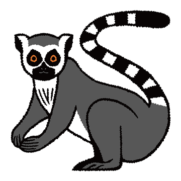 ワオキツネザル