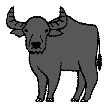 アジアスイギュウ