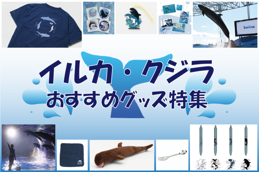 イルカクジラ特集バナー