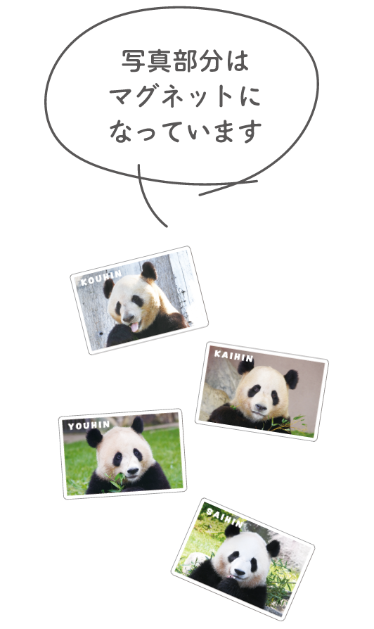 写真部分はマグネットになっています