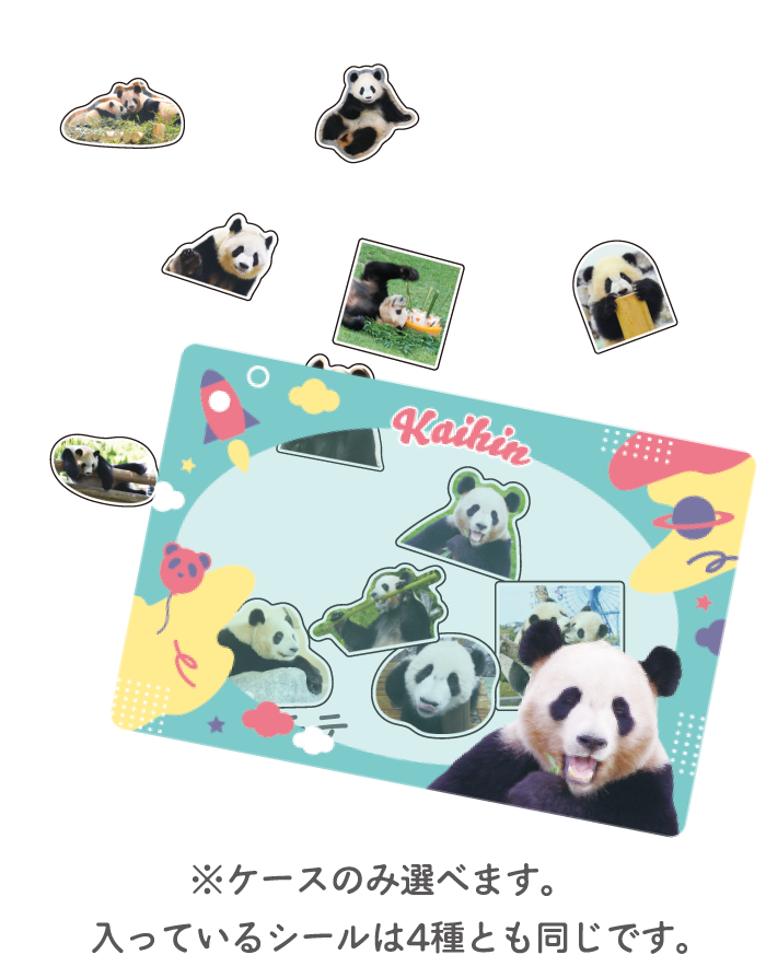 ケース入りフレークシール中身