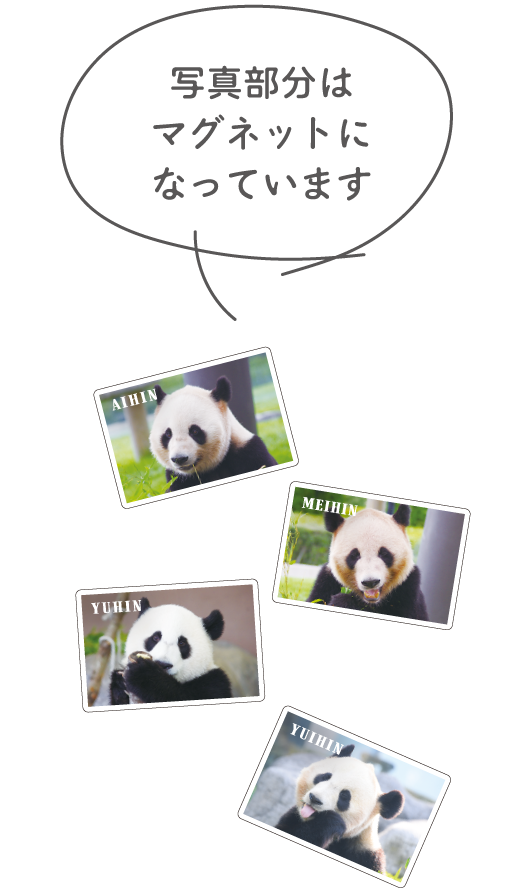 写真部分はマグネットになっています