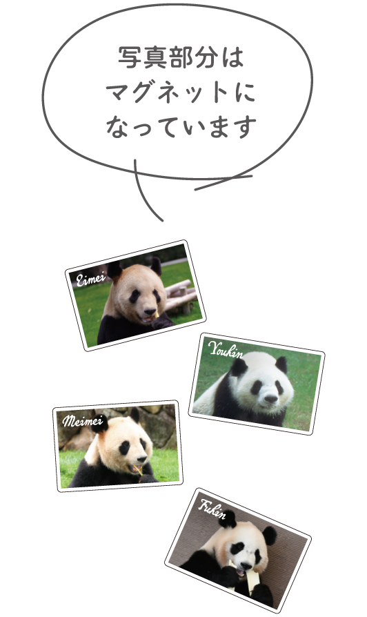 写真部分はマグネットになっています