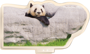 パンダのアクリルスタンド 永浜2