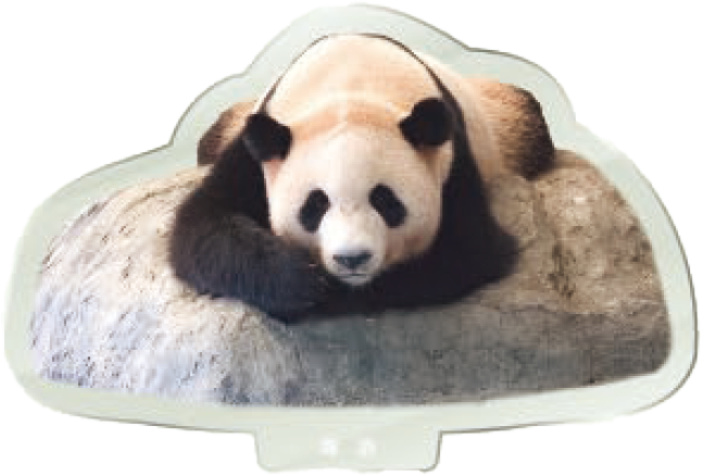 パンダのアクリルスタンド 海浜2