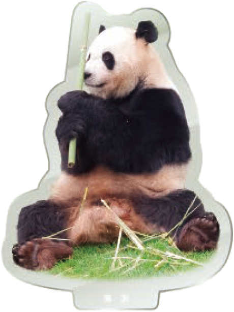 パンダのアクリルスタンド 海浜1