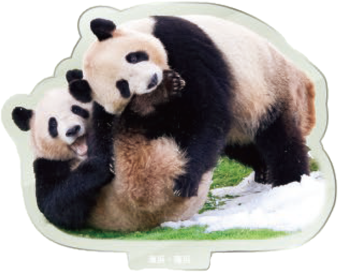 パンダのアクリルスタンド 海浜・陽浜1