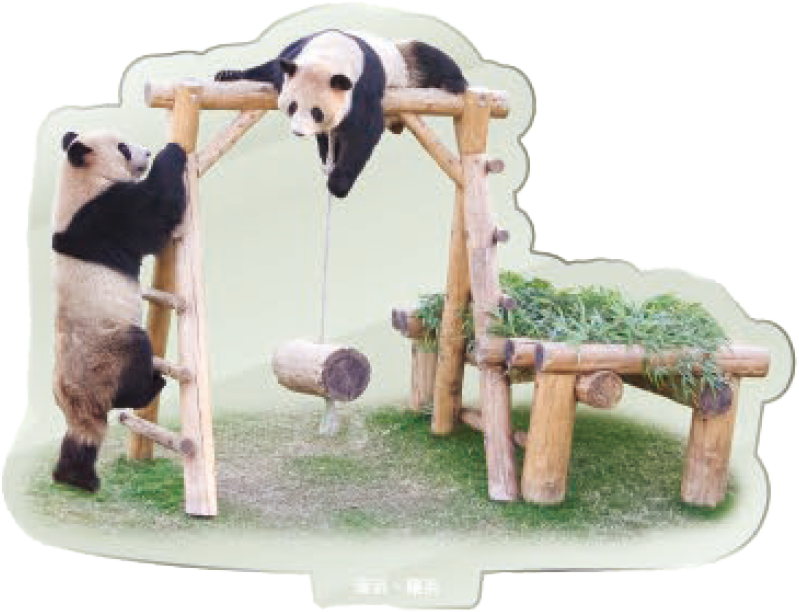 パンダのアクリルスタンド 海浜・陽浜2