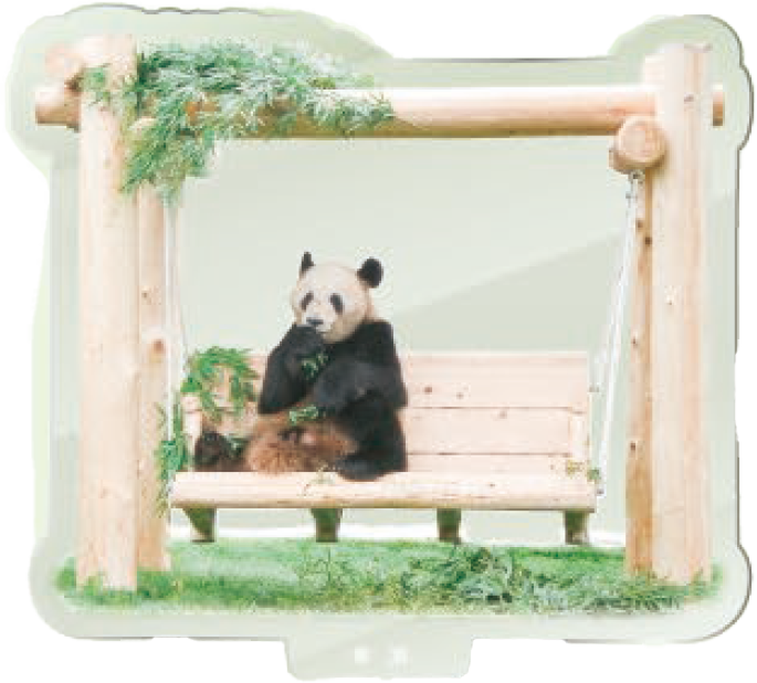 パンダのアクリルスタンド 幸浜1