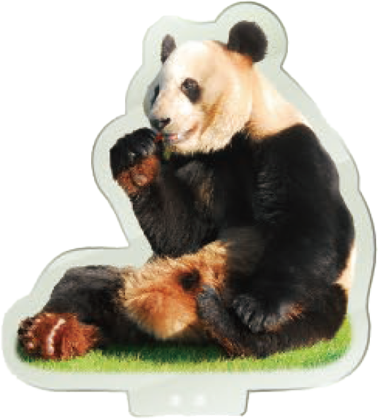 パンダのアクリルスタンド 幸浜2